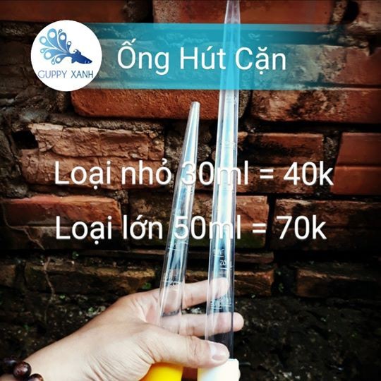 Ống hút cặn - ống hút phân cá - size 30ml và 50ml - guppy xanh