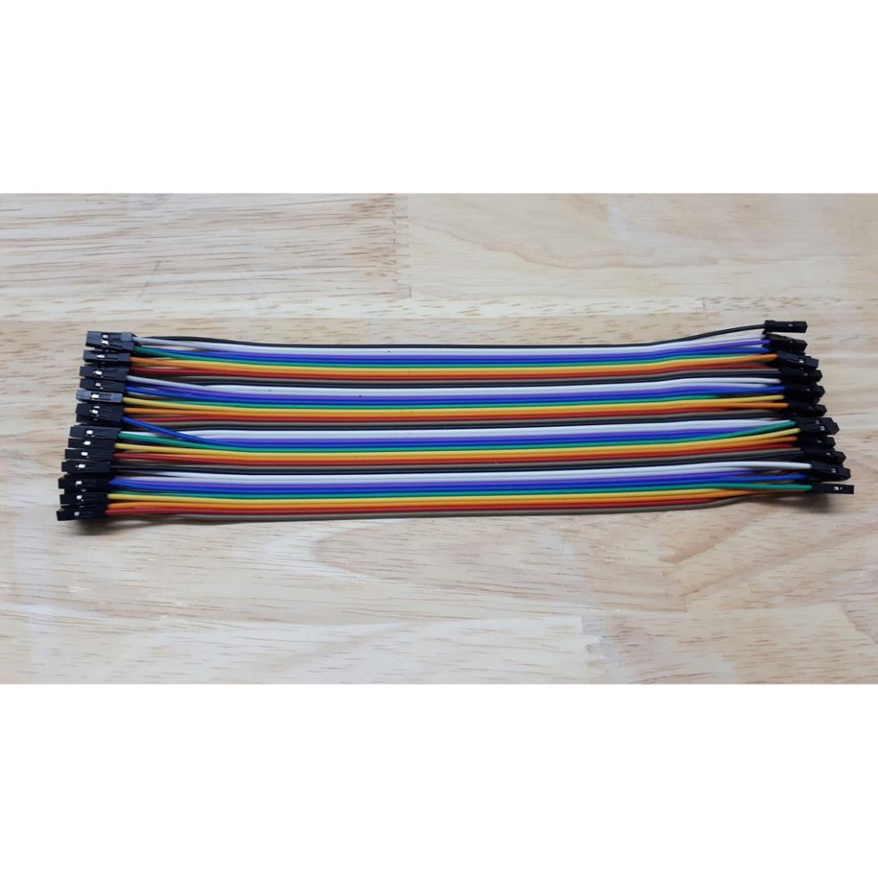 40 dây test board đực - cái 20cm