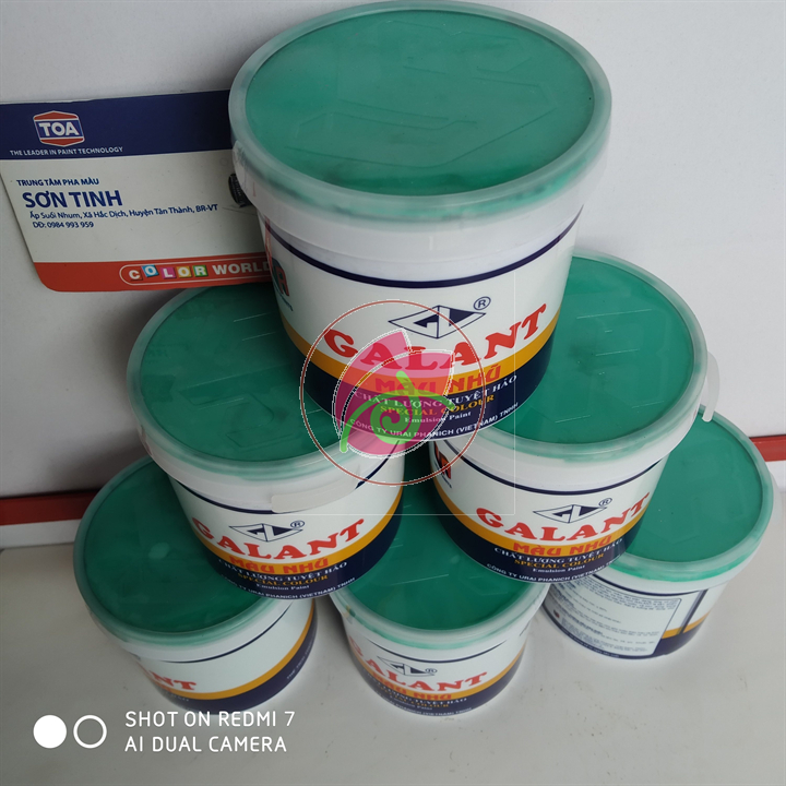 Combo 5 ve màu Galant (Xanh lá, Đỏ, Vàng, Xanh dương, Đen)
