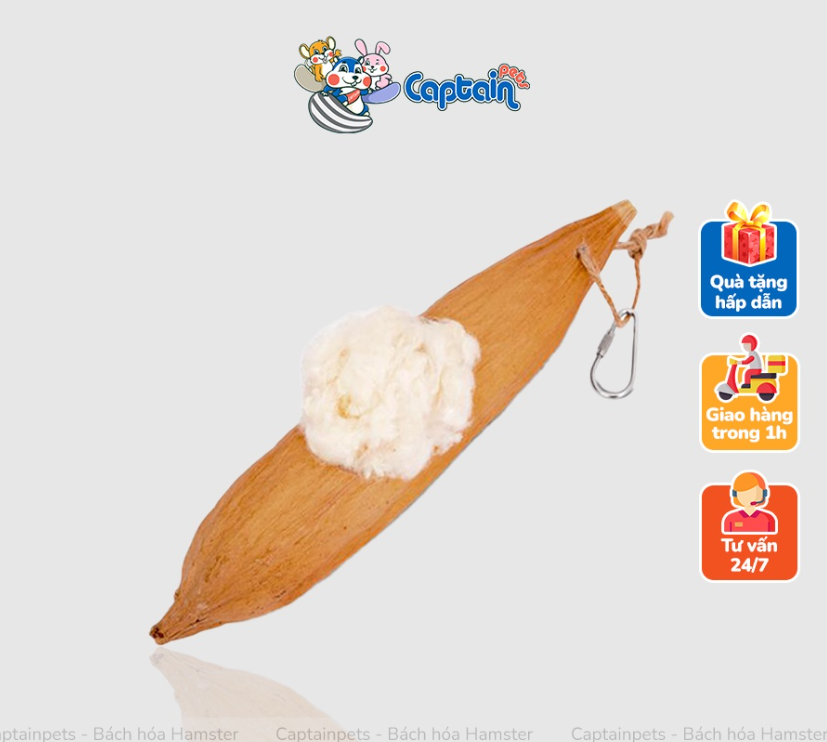 [FREESHIP MAX] OIC Nệm gòn cho Hamster - Bách hóa Hamster