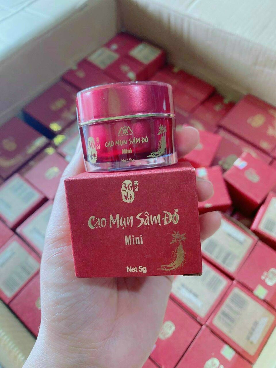 Cao Mụn Sâm Đỏ - Hết mụn, mờ thâm hiệu quả sau 7 ngày (hủ  15gr)