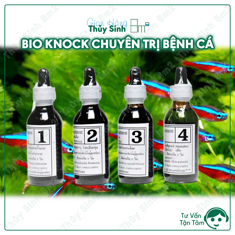 Bio knock 2 trị nấm cá | combo 4 chai bio knock chuyên trị bệnh cá | 8m2
