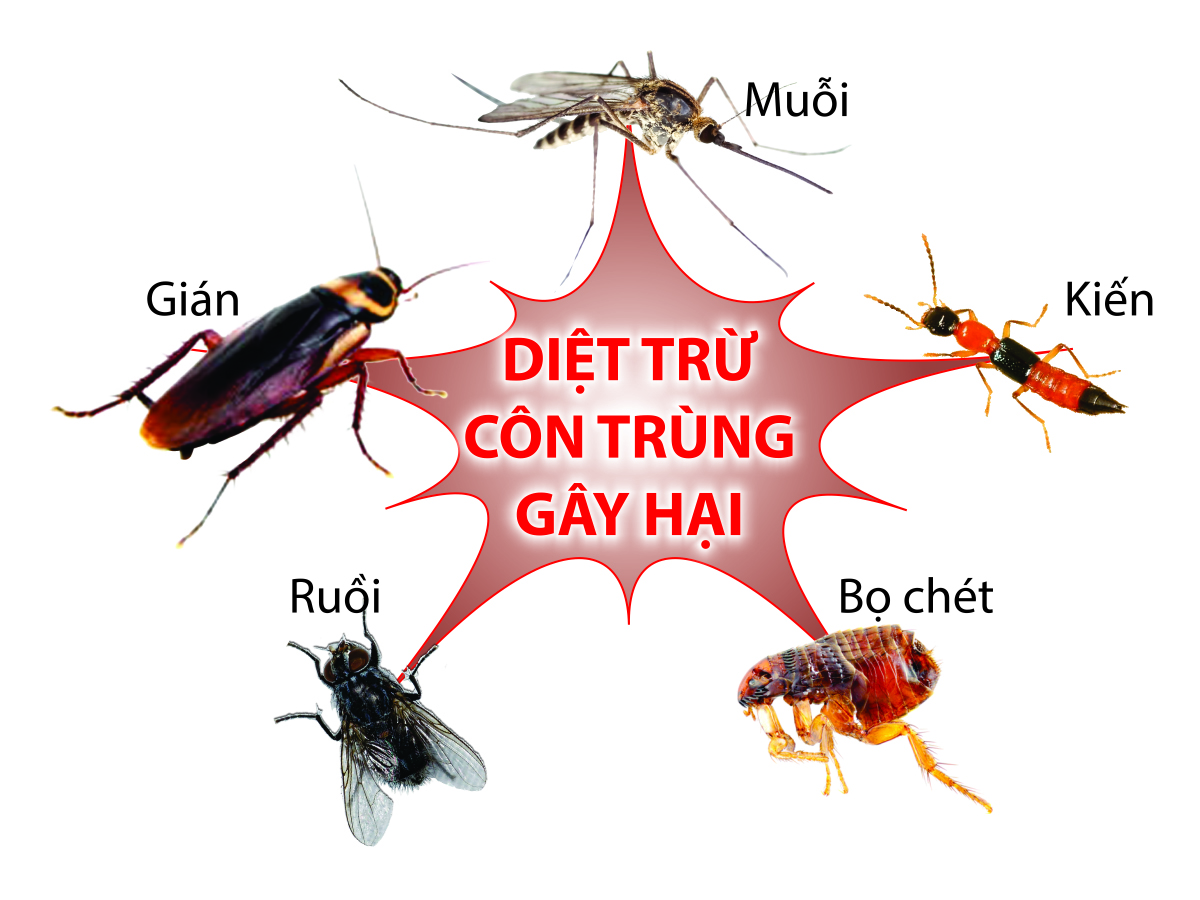 Diệt côn trùng JACK đa năng - Chai 650ml - Diệt mối, Diệt kiến, Diệt gián hiệu quả an toàn