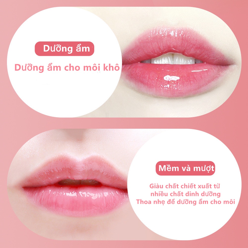 Son dưỡng làm mềm môi chiết xuất trái cây 3.8gram
