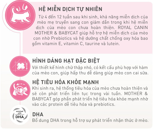 [400g/2kg/4kg] Hạt Cho Mèo Royal Canin Mother & Baby