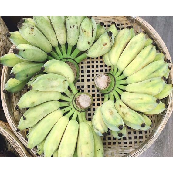 2 Cây giống Chuối Sứ [Hay còn gọi là Chuối Xiêm, chuối Mốc ] (Mới)
