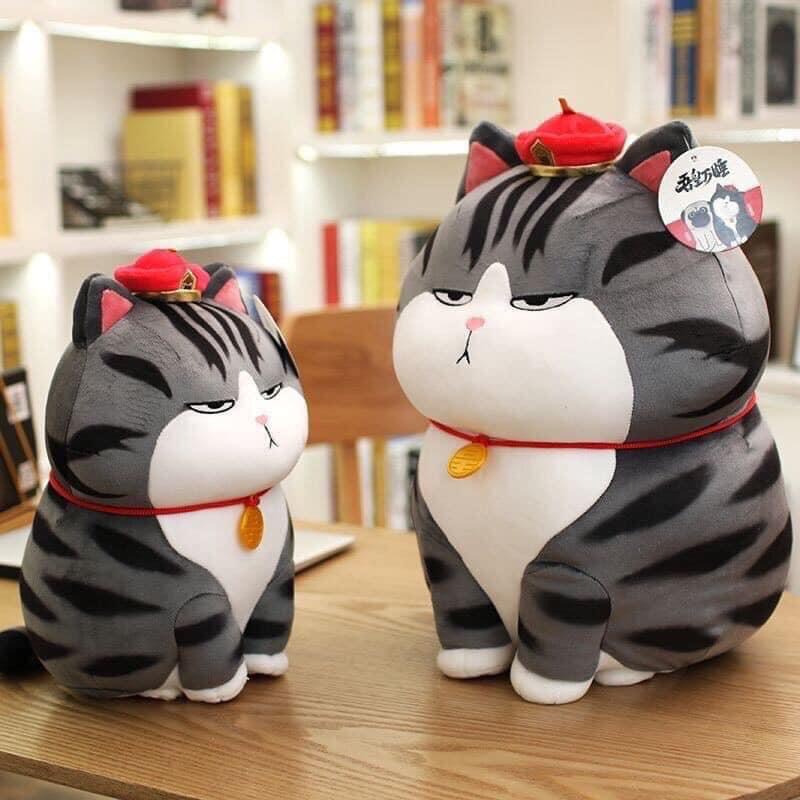 ️ GẤU  BÔNG MÈO THẦN TÀI