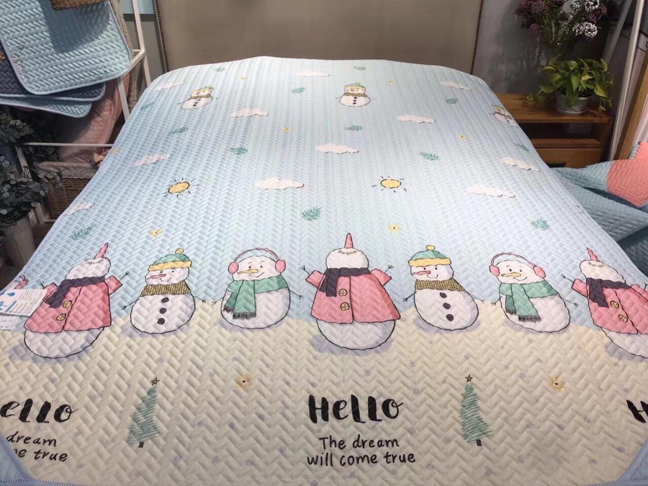 Chiếu Điều Hòa Tencel Hàng Nội Địa