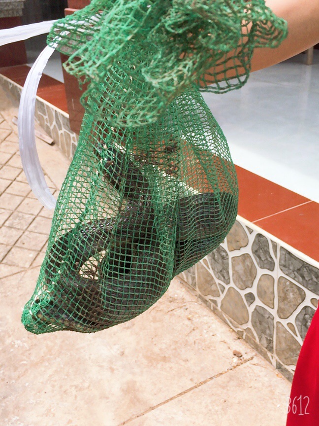 Bẫy rắn 02 hom không rỉ sét
