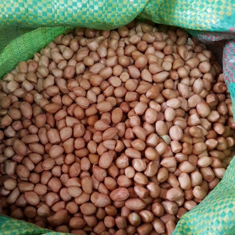 Đậu phộng (lạc) sống - 1kg loại ngon