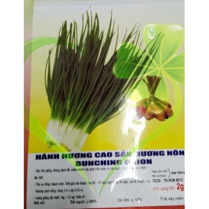 Hạt giống hành lá gốc trắng - gói 2 gram