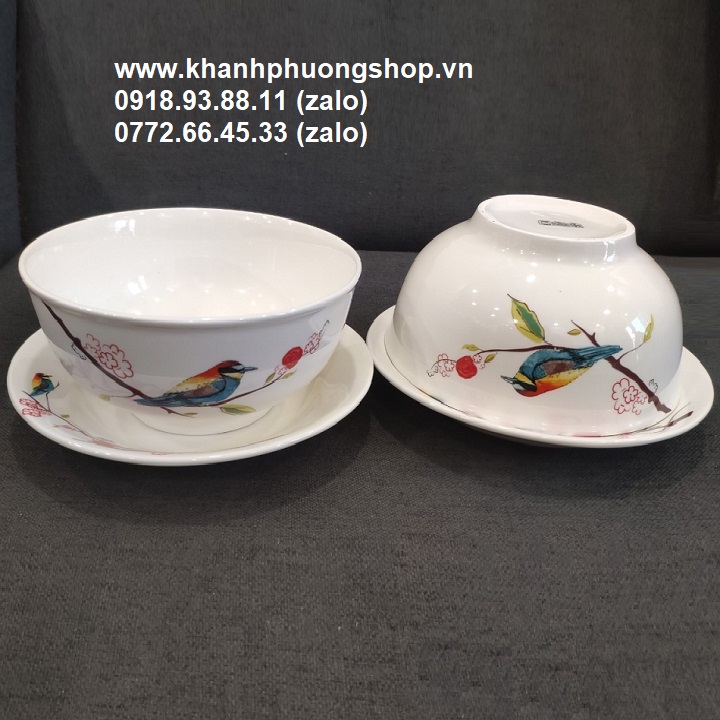 [HCM]tô sứ - tô sứ trắng