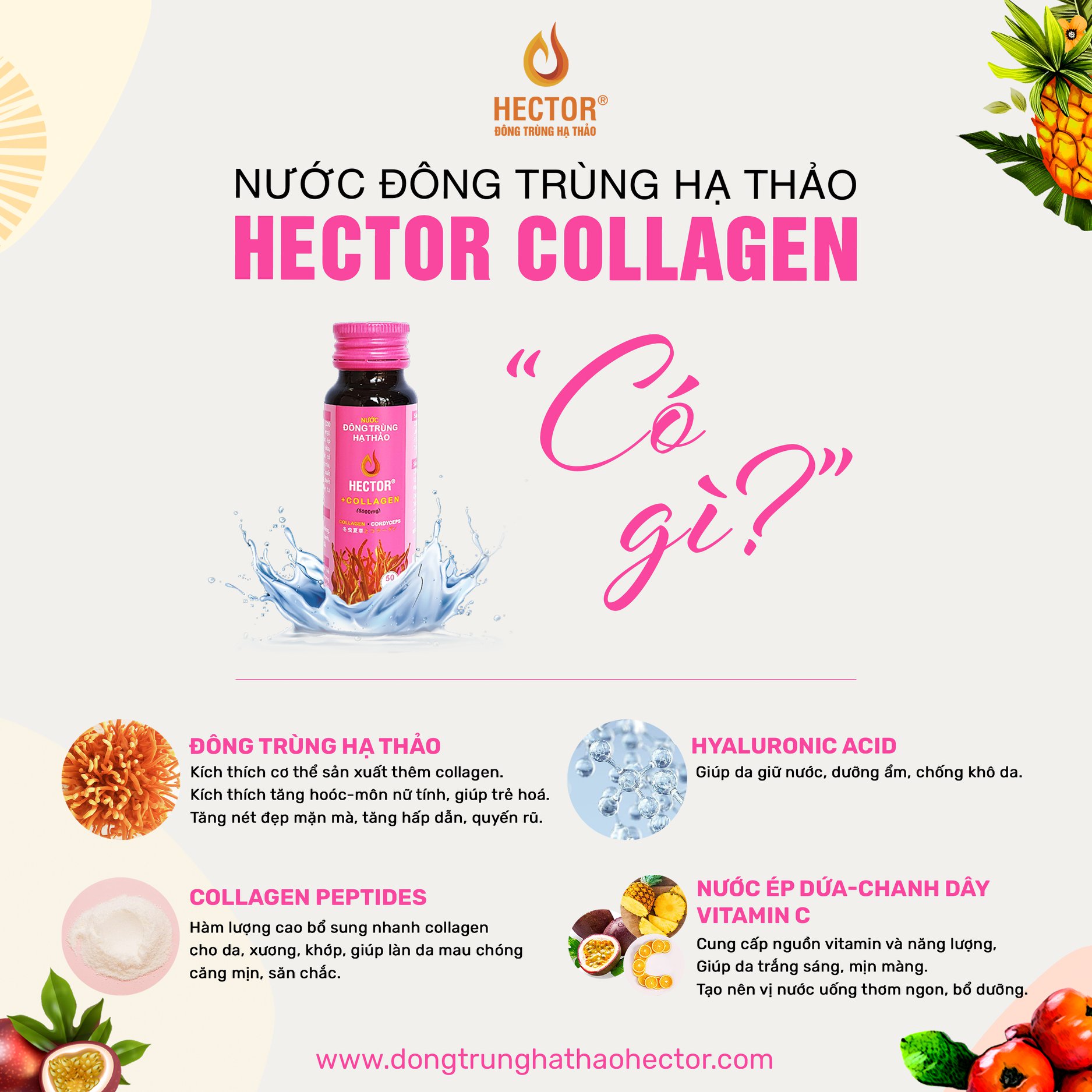 Hector Collagen đông trùng hạ thảo (Hộp 10 lọ x 50ml)