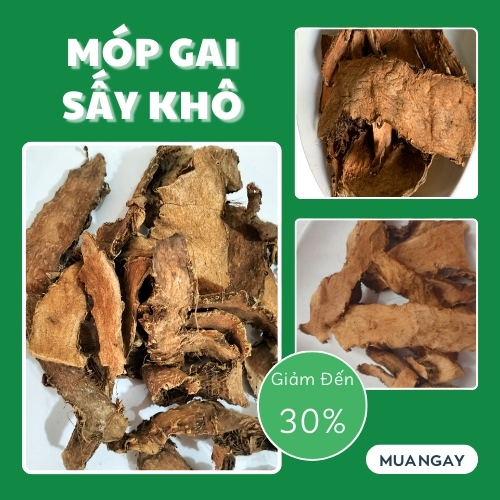 Combo móp gai khô cao cấp 2kg - Hàng công ty mới về hàng - Chuyên dùng để sắc nước và pha trà
