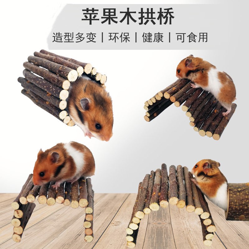 Thang gỗ các loại dành cho hamster / thỏ / bọ / sóc / fat tail/ ...- T3 PETS SHOP