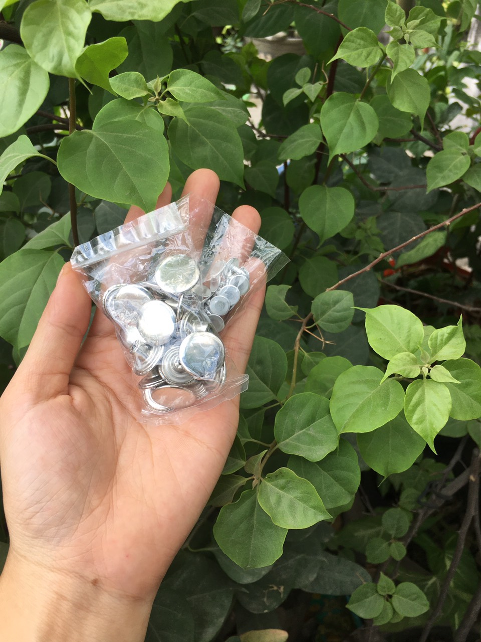nút quần rin combo 20 nút va 5 nút tùy khách chọn