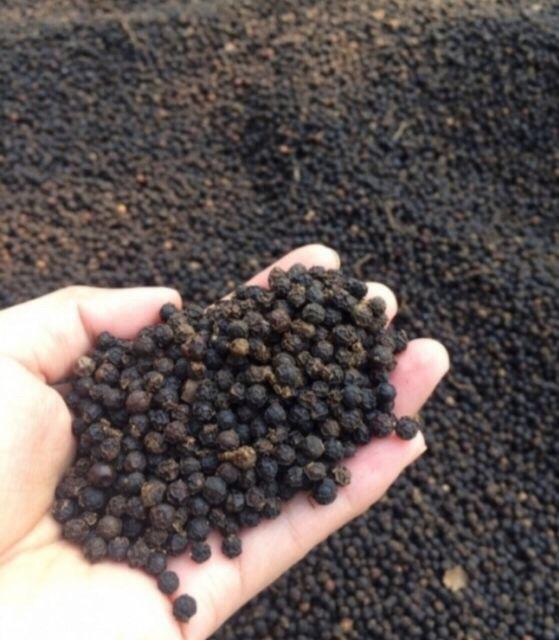 100gr Bột hạt tiêu rang xay