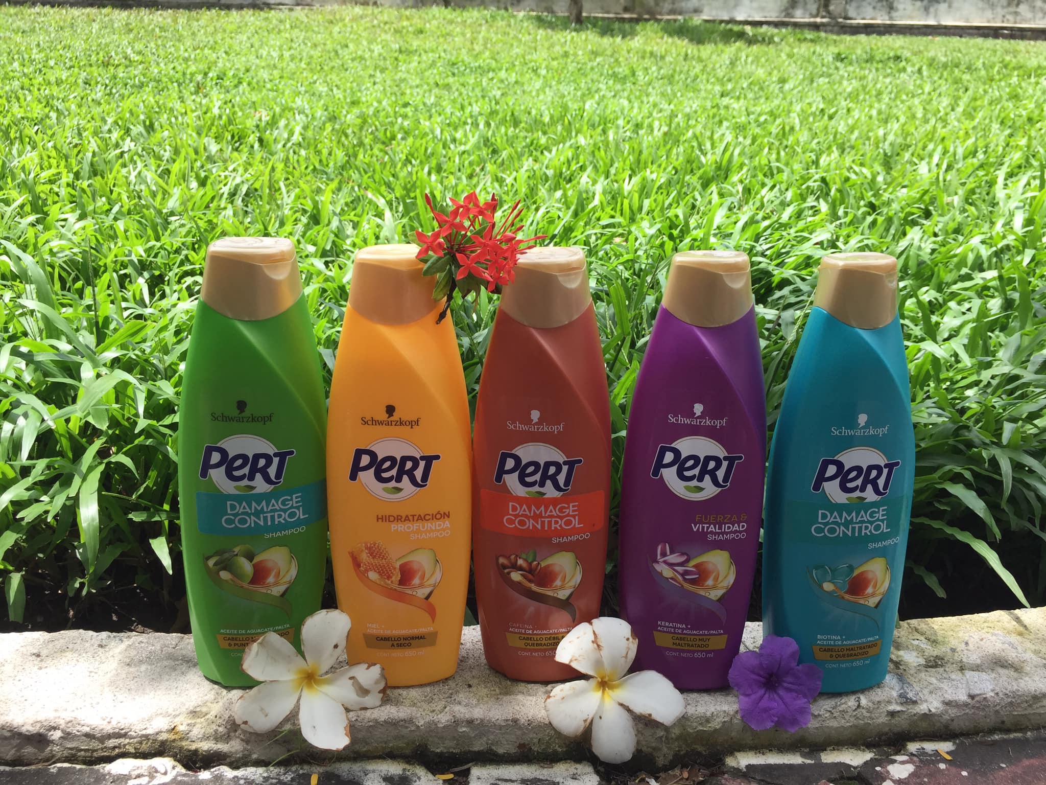 Dầu gội Pert Schwarzkopf 650 ml