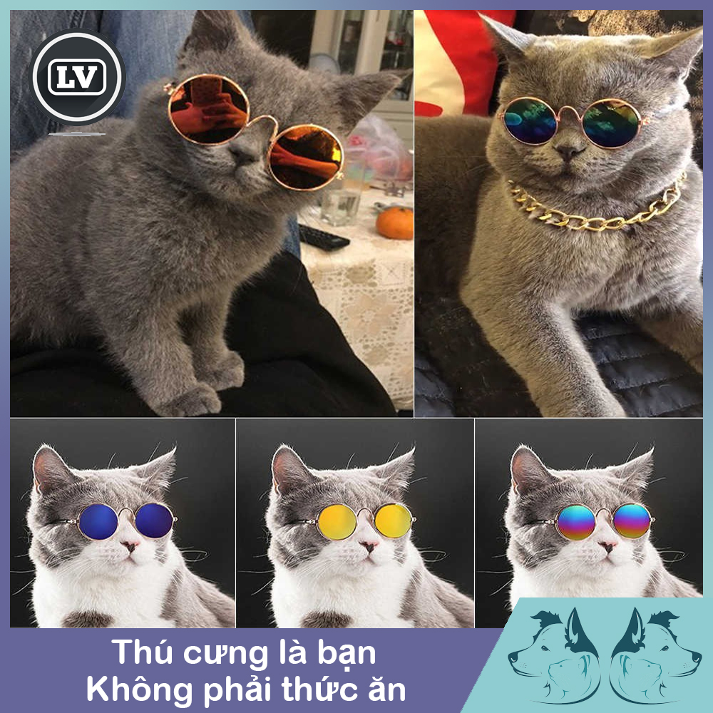 Kính mắt thời trang giá rẻ cho thú cưng Phụ Kiện Long Vũ