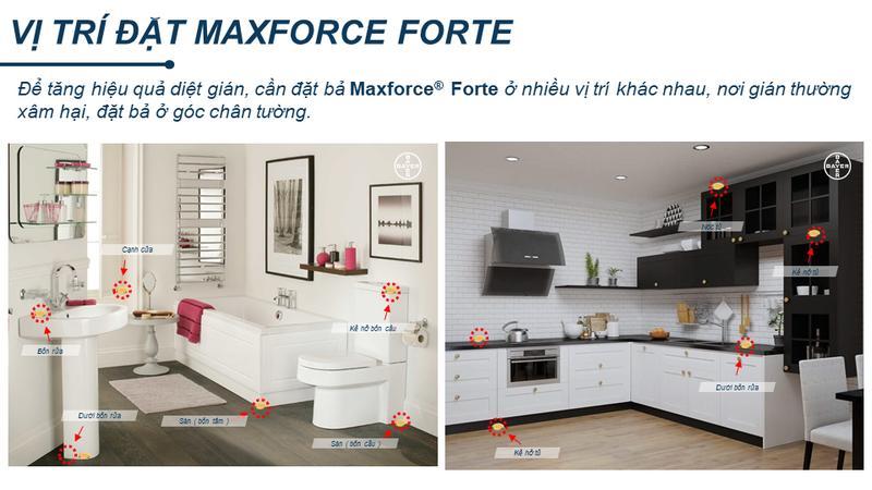Gel diệt Gián đức Maxforce 20 gam - Đức
