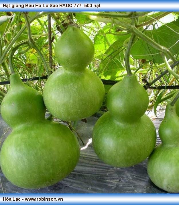 Nấm Đối kháng Trichoderma Chất lượng Cao - trừ bênh thối rể