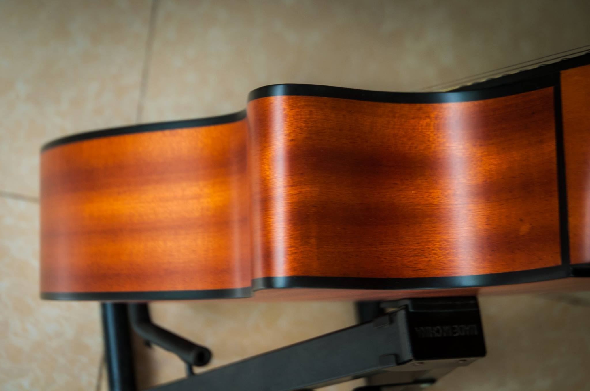 Đàn guitar acoustic Rex RA1C-NM Chính Hãng Singapore