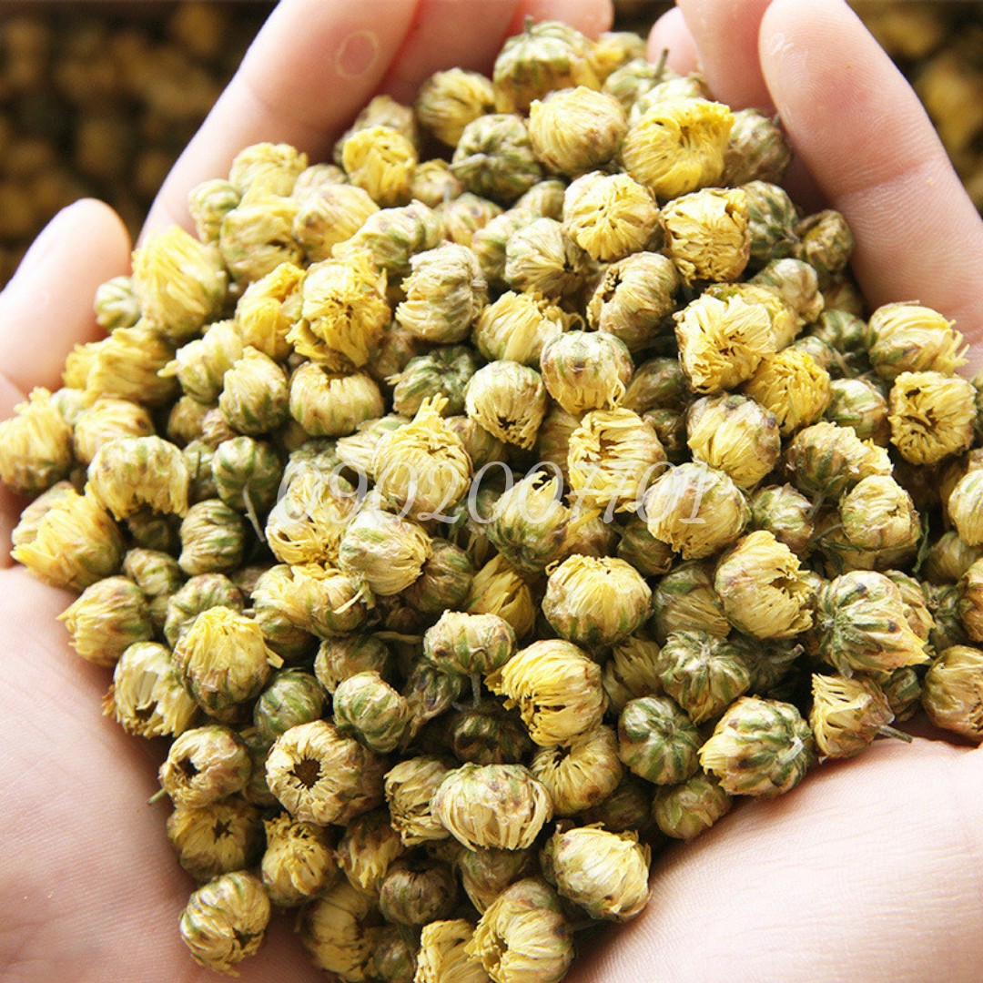 Trà Hoa Cúc Sấy Khô Loại Ngon 100g