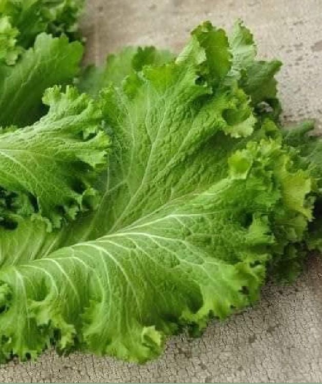 Hạt giống rau cải mù tạp - Gói 5gram