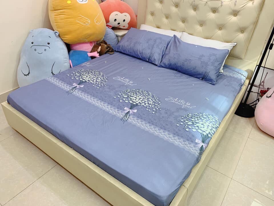 Bộ Ga Kèm 2 Áo Gối Cotton - Đủ Size