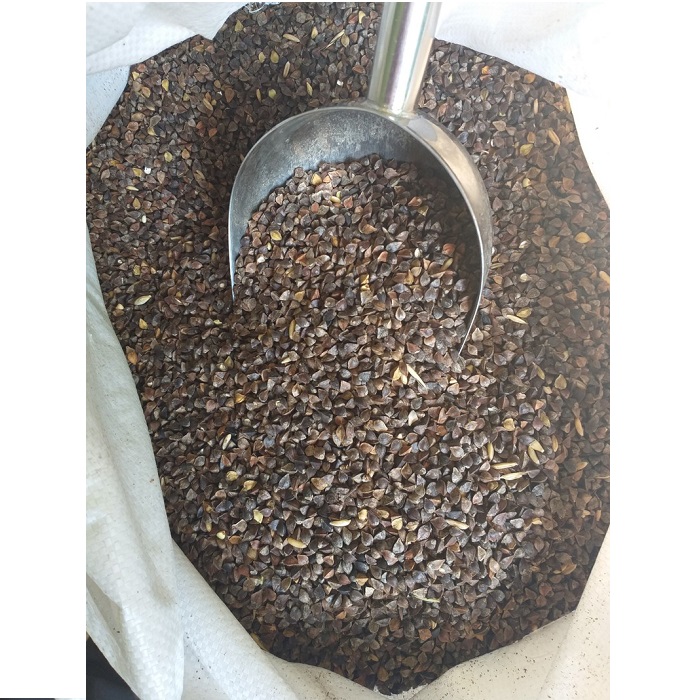 [HCM]500G HẠT BA KHÍA( hạt chưa chế biến)