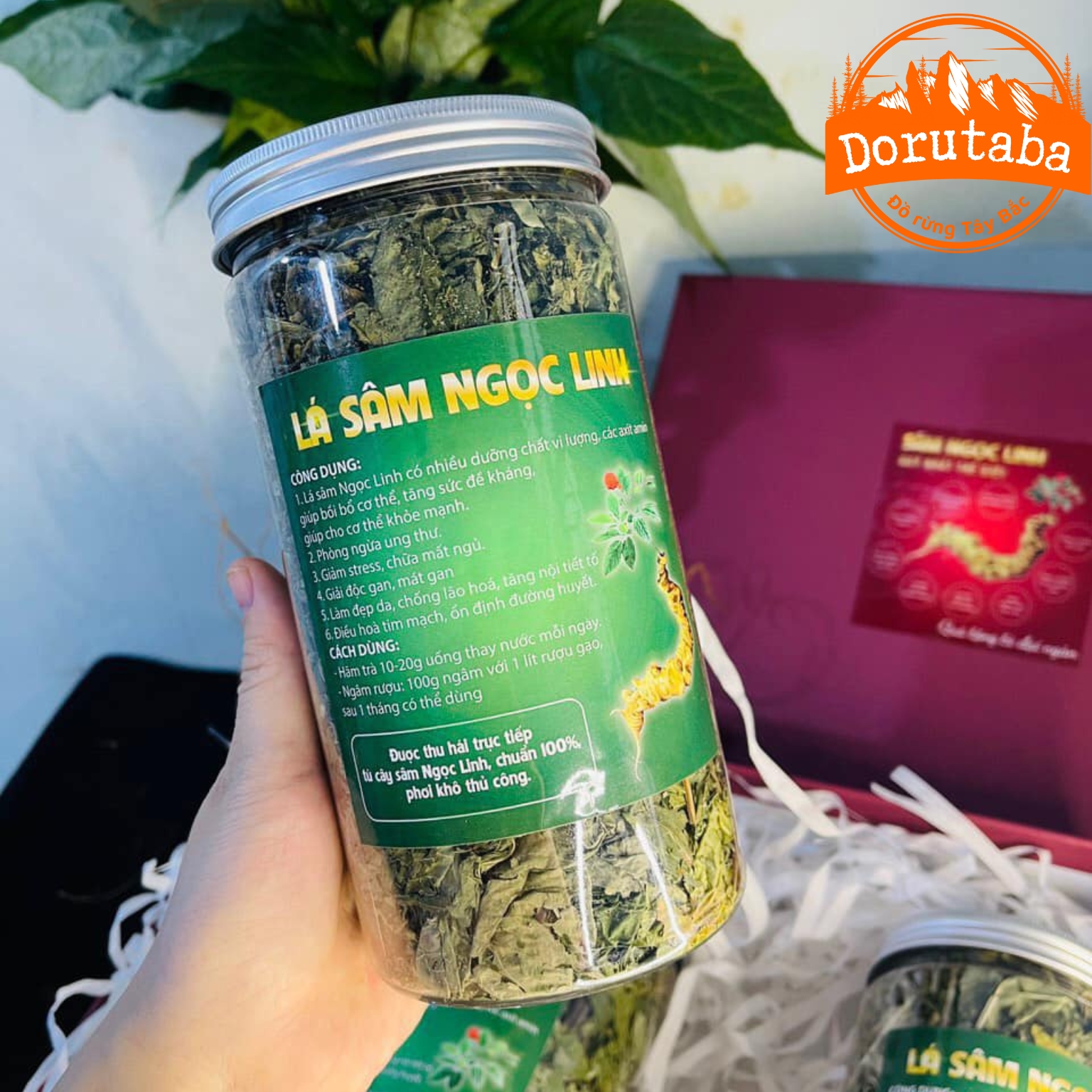 Trà lá sâm Ngọc Linh khô thượng hạng, sấy lạnh từ lá sâm Ngọc Linh tươi giúp bồi bổ cơ thể, chống oxy hoá