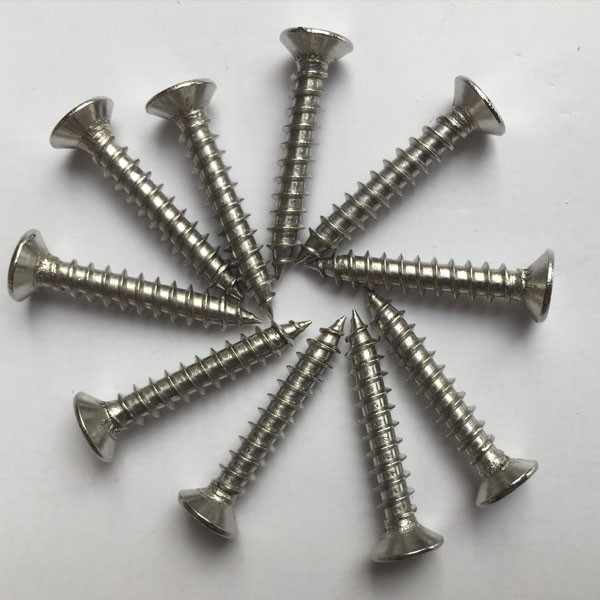 Gói 100 gam vít chìm inox bắt gỗ, bắt tắc kê treo tường...