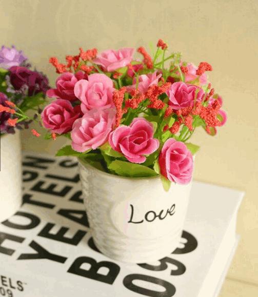 Chậu hoa love mini để bàn hoa nở