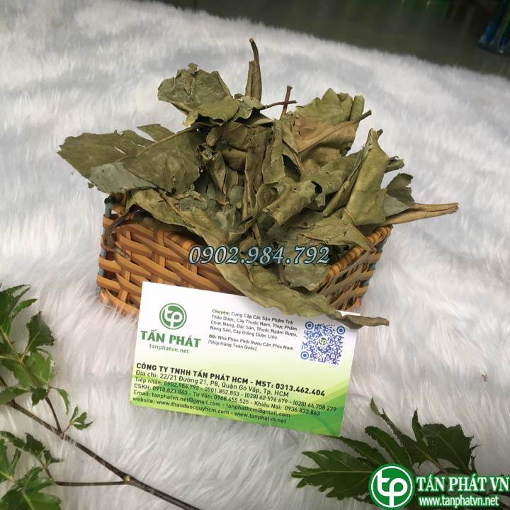 Lá vối khô túi lớn loại 1kg chuyên dùng để pha trà - Hỗ trợ cải thiện sức khỏe dạ dày của bạn