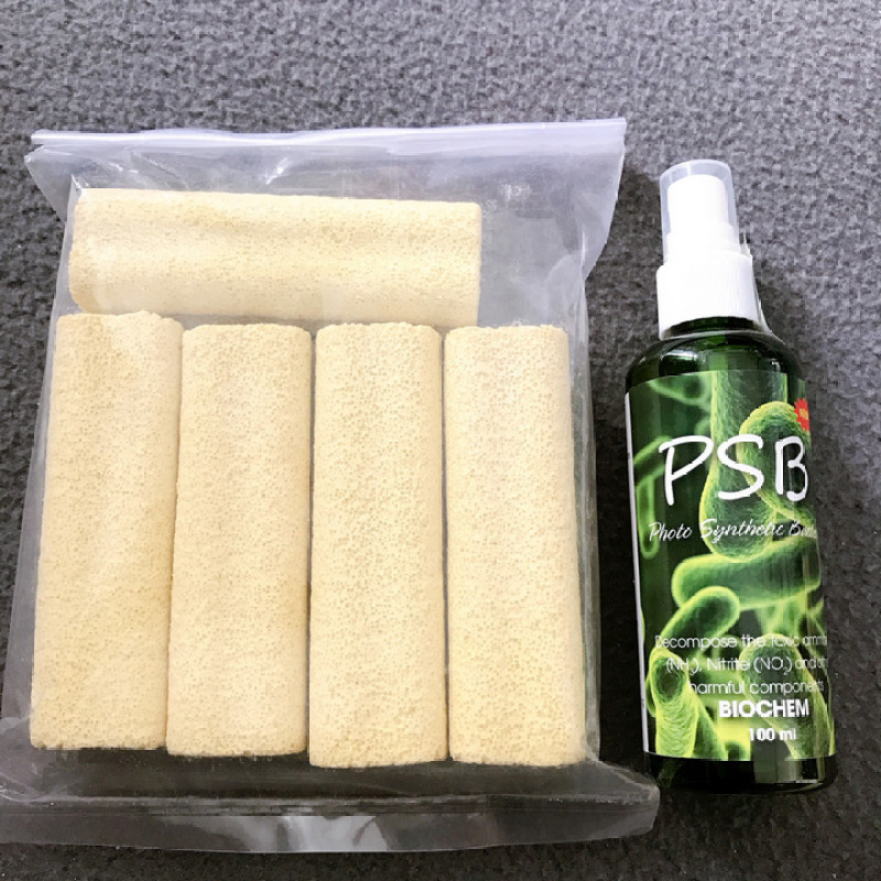 Combo 1 Chai Vi Sinh Psb 100ml+ 5 sứ thanh hoa mai 10cm, Sự Kết Hợp Hoàn Hảo, Mẫu Psb Màu Xanh Và MÀu Đỏ Công Dụng Như Nhau, Khác Màu Nhãn
