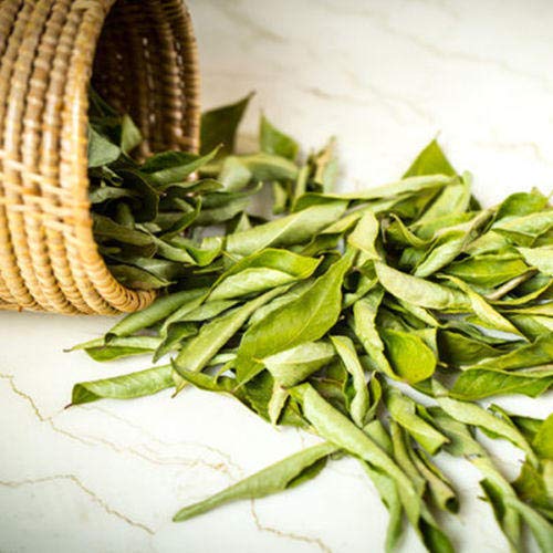 Curry Leaves