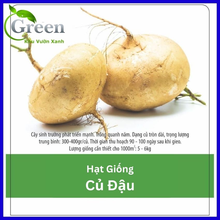Hạt Giống Củ Đậu (Củ Sắn) - Gói 20 Hạt