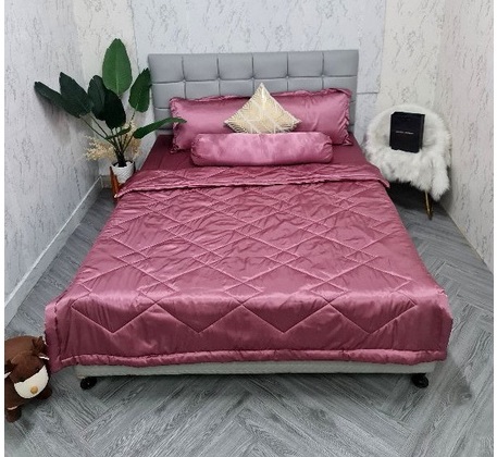 Bộ 5 món 4 món Chăn ga phi lụa Thái Tuấn cao cấp loại 1 - Mã màu phi lụa Hồng Ruốc
