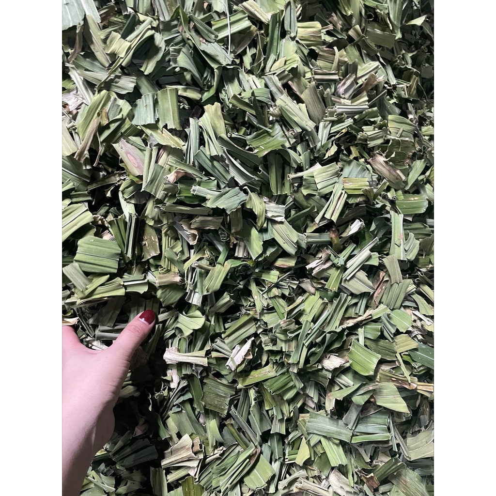 Lá Nếp (LÁ DỨA) 500G- Hàng sạch thơm (loại 1)