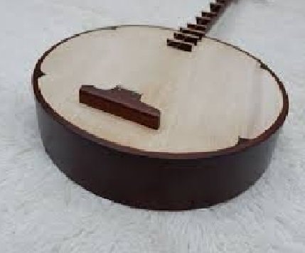 Đàn Nguyệt ( đàn kìm)