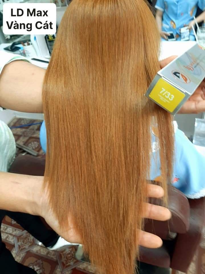 Màu Nhuộm Tóc Ldmax Tone Màu Vàng - Không Tặng Oxy