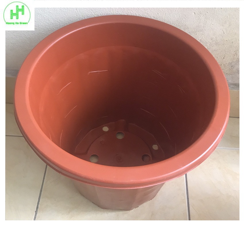 Chậu Nhựa Trồng Hoa, Cây Cảnh E350 CN