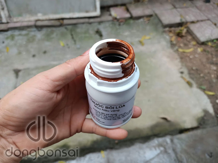 Combo 5 Chai dung dịch bôi lũa bonsai 150ml