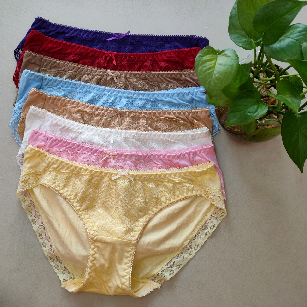 Combo 10 quần lót xuất Nhật-quần lót cotton ren viền-quần lót xuất khẩu- quần lót lưng thấp- quần lót cotton-CHIPXK