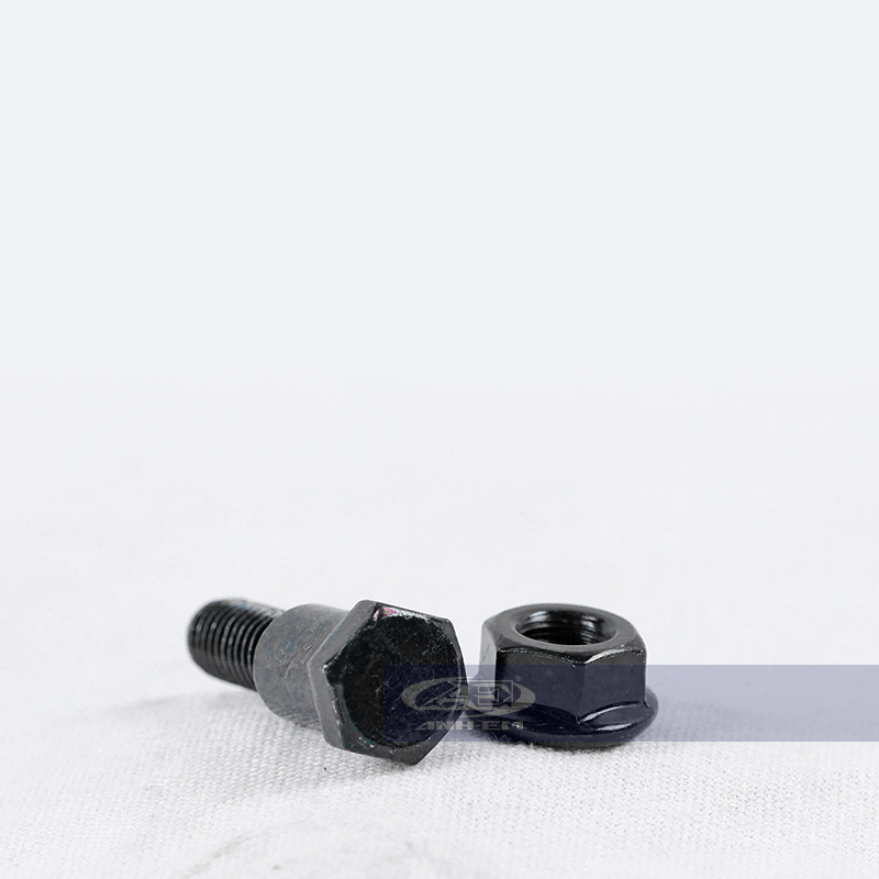 Ốc tay ampida (RGV) (Apido) - RGV120-0328