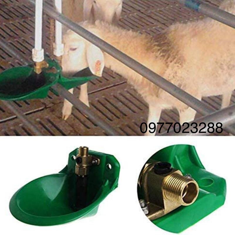 [Nhập RS0822 giảm 30k cho đơn 99k]Máng uống nước tự động cho dê cừu