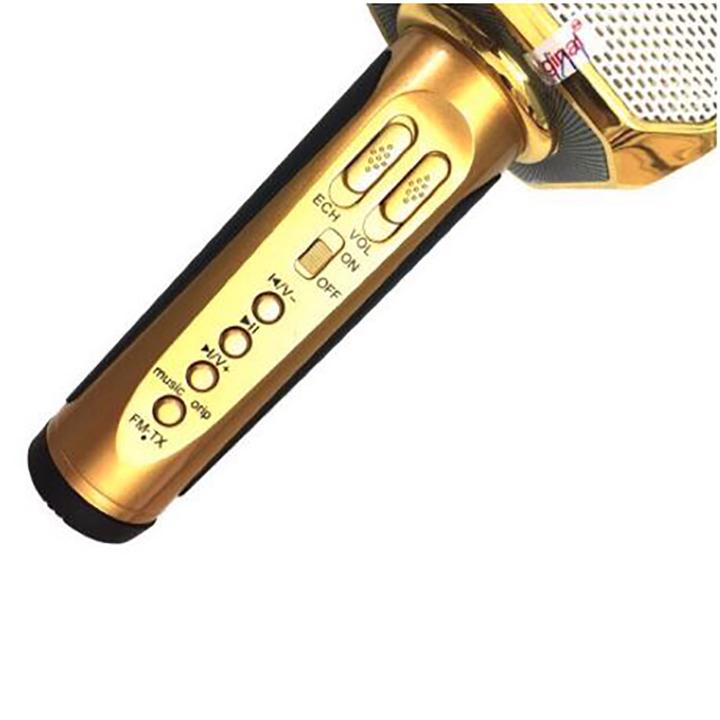 Mic Karaoke SD10 Kèm Loa Kết Nối Bluetooth Hàng Chuẩn