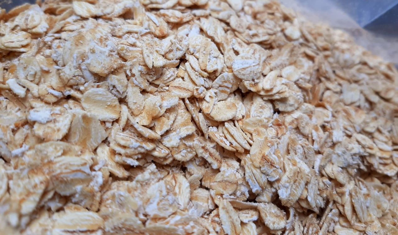 Yến mạch hamster