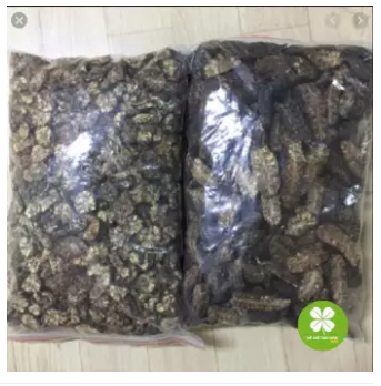 Trái nhàu khô (1kg) - LV053