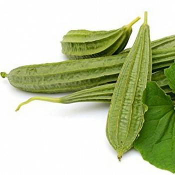 H172- 5 hạt giống mướp khía